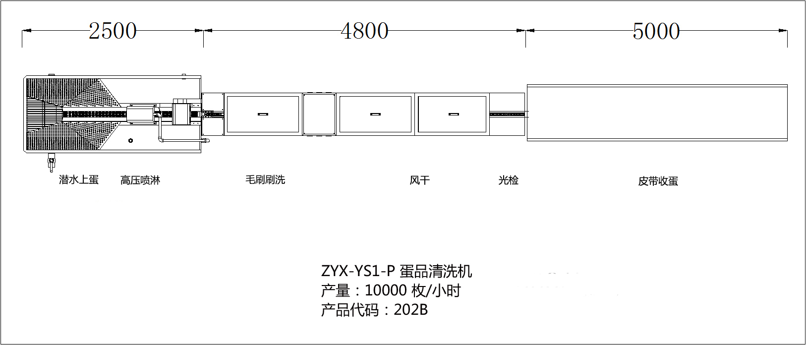 202B示意图.jpg