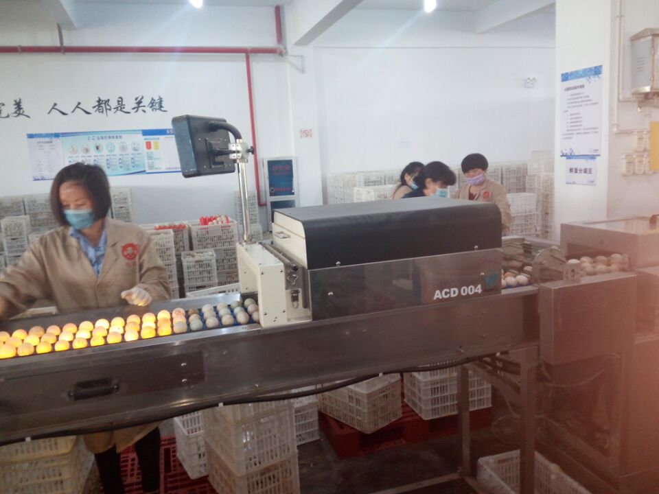 QQ图片20170407171542.jpg QQ图片20170407171542.jpg