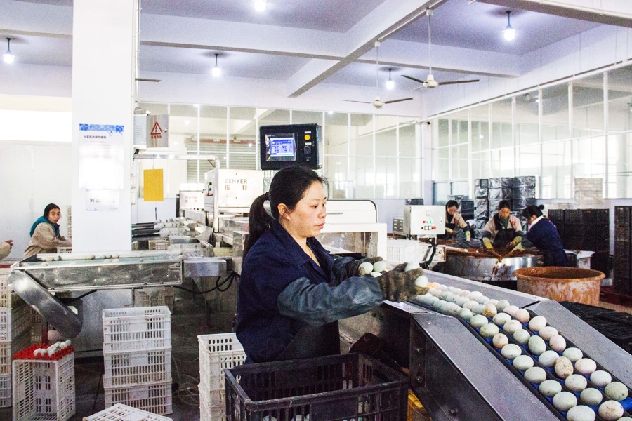 生产车间.jpg 生产车间.jpg