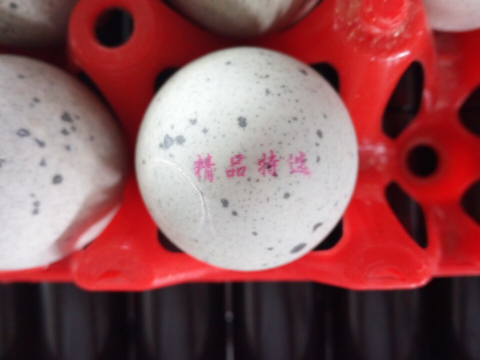 QQ图片20170607145000.jpg QQ图片20170607145000.jpg